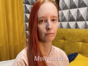 Mollyrabbit