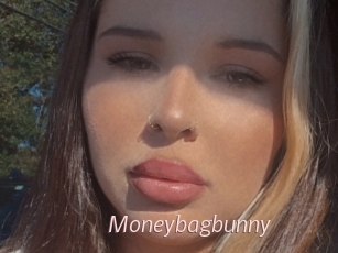 Moneybagbunny