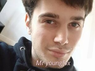Mr_youngfox