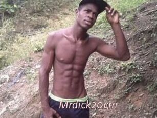 Mrdick20cm