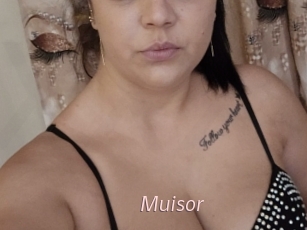 Muisor