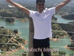 Mutachi_blosom