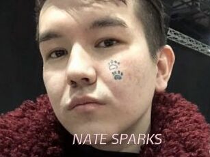 NATE_SPARKS