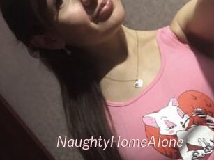 NaughtyHomeAlone