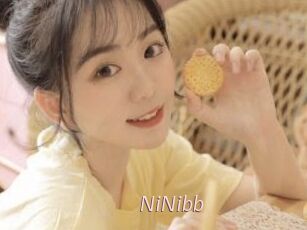 NiNibb