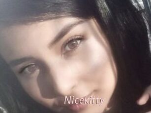 Nicekitty