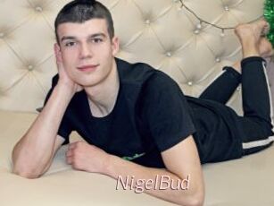 NigelBud