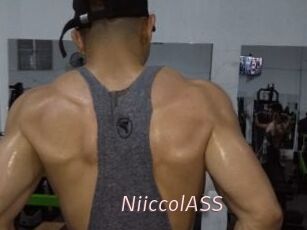 NiiccolASS