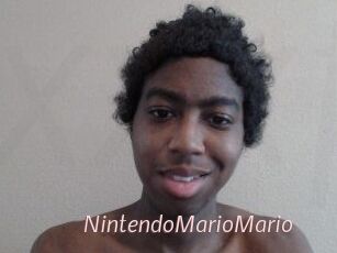 NintendoMarioMario