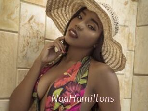 NoaHamiltons