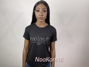 NoaKane18