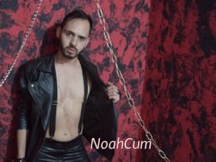 NoahCum