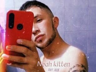 Noah_kitten