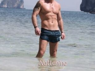 Nattenino