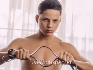 Nethanspecter
