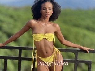 Niagollden