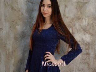 Nicecatt