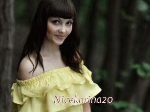 Nicekarina20