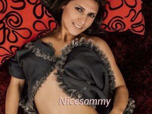 Nicesammy