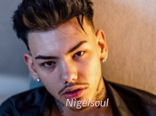 Nigelsoul