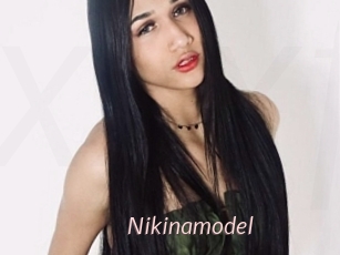 Nikinamodel