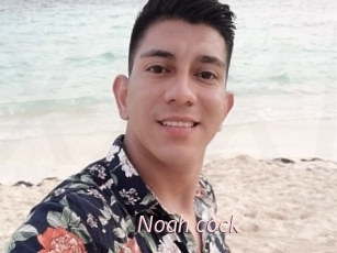 noah_cock xxx Free Sites