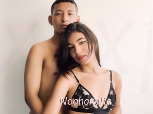 Noahandlia
