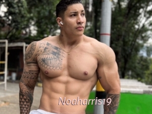 Noaharris19