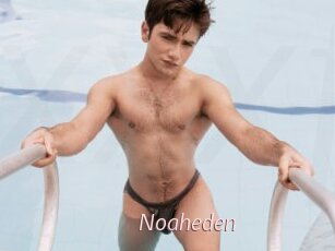 Noaheden