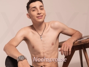 Noahsprouse