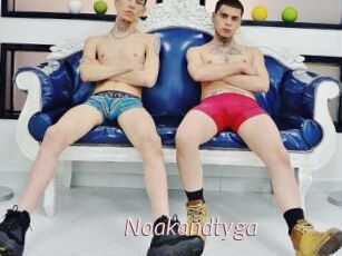 Noakandtyga