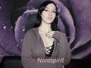 Noraspirit