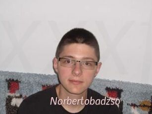 Norbertobadzso
