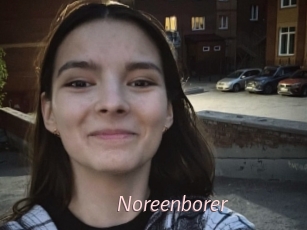 Noreenborer