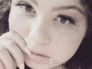 Opay_Skye