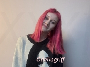 Odeliagriff
