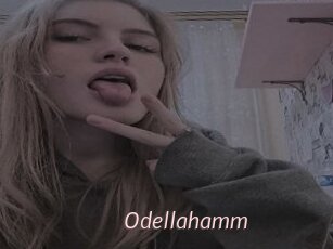 Odellahamm