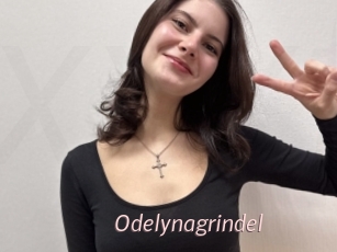 Odelynagrindel