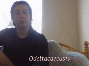 Odettacaecus19