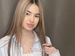 Odiliaamber