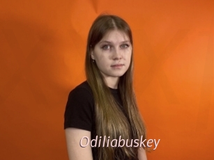 Odiliabuskey