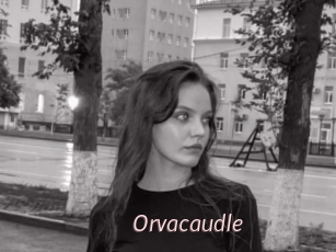 Orvacaudle