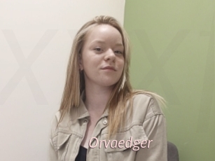 Orvaedger