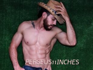 PERSEUS11INCHES xxx Free Sites