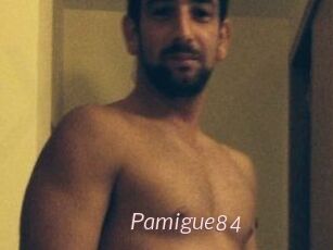 Pamigue84