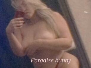 Paradise_bunny