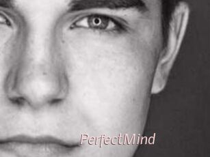 PerfectMind