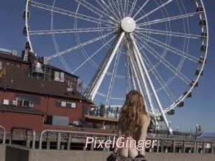 PixelGinger