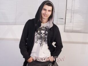PlayfulNigel