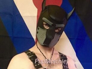 PupMischief